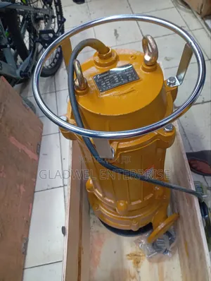 Premier Submassible/Mining Pump 10hp