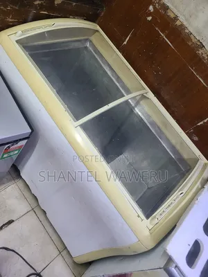 Exuk Deep Freezer Display