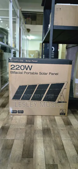 Ecoflow 220w Bifacial Portable Solar Panel (Solar220w