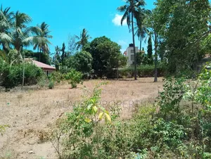 Quarter Acre Plot for Sale in Majaoni
