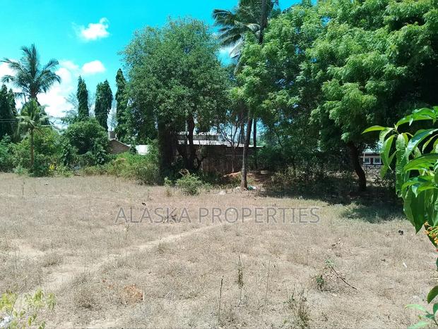 Quarter Acre Plot for Sale in Majaoni - thumbnail 6