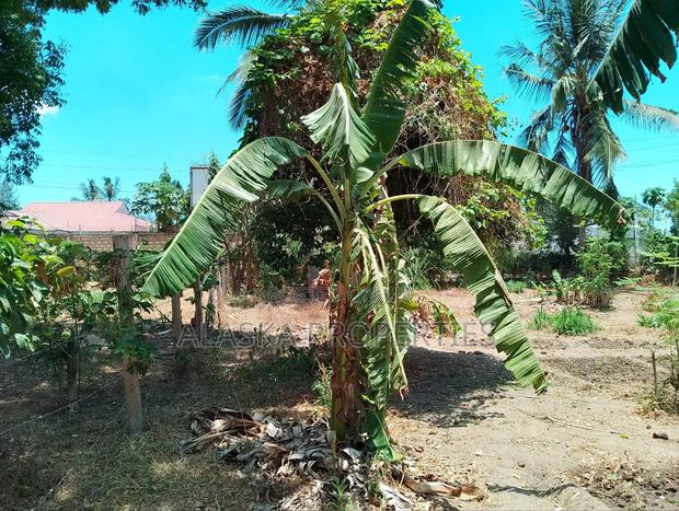50by100 Prime Plot for Sale in Majaoni - thumbnail 4