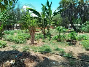 50by100 Prime Plot for Sale in Majaoni