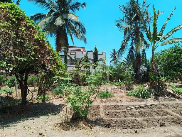 50by100 Prime Plot for Sale in Majaoni - thumbnail 2