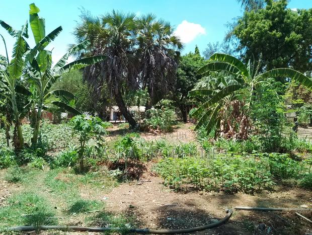 50by100 Prime Plot for Sale in Majaoni - thumbnail 7