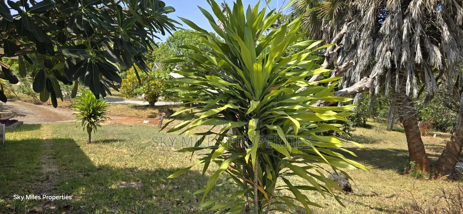 4bdrm Villa in Vipingo Ridge for sale