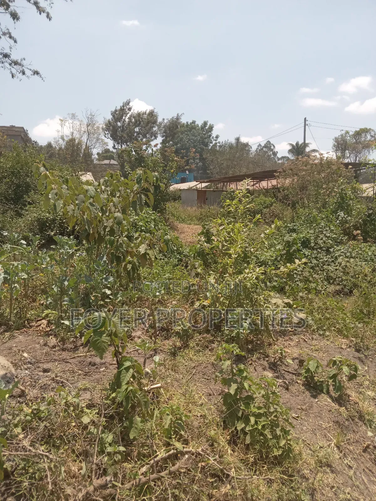 Prime Plot in Kiserian