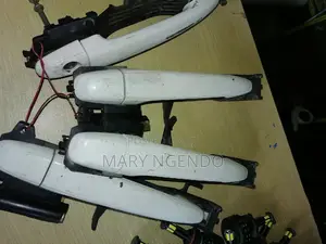 Door Handles for Noah/Voxy