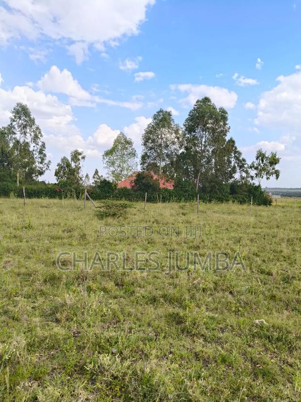 1m Plot in Acacia - thumbnail 13