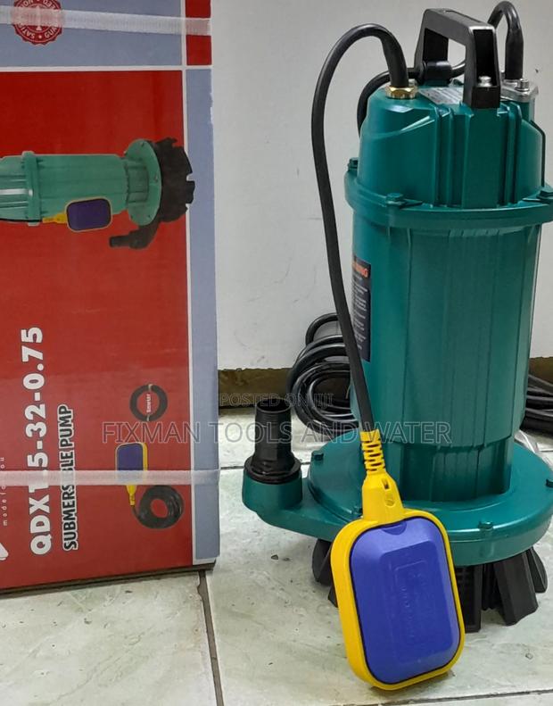 Domestic Premier Water Pump 1 Hp 32m - main view