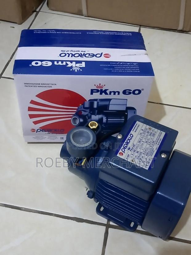 Water, Pump Pedrollo Water Pump