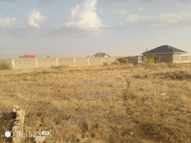 Offer Mlolongo(Sabaki)Plot - thumbnail 3