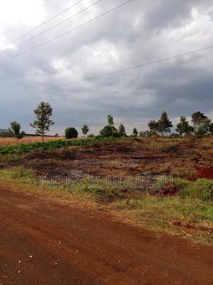 Land for Long Term Lease, 2 Acres - thumbnail 4