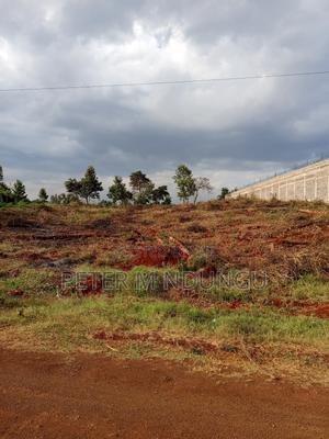 Land for Long Term Lease, 2 Acres - thumbnail 2