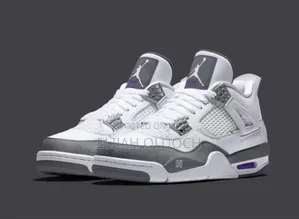 Jordan 4 Flint Grey