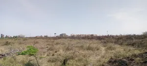 10 Acres Land