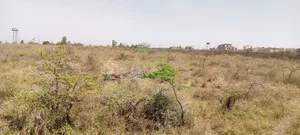 10 Acres Land
