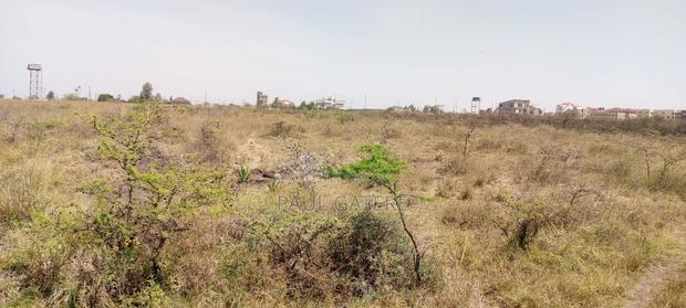 10 Acres Land - thumbnail 3