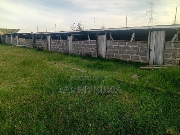 Furnished 3bdrm Bungalow in Kimuri, Murungaru for sale - thumbnail 6