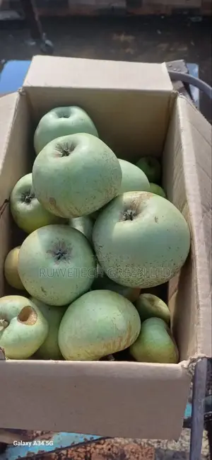 Golden Dosert Apple