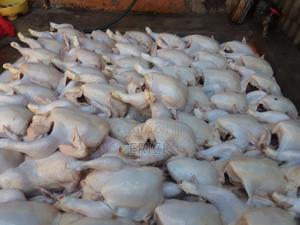 Chicken Broiler - main view