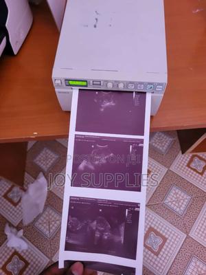 Sony Ultrasound Printer - main view