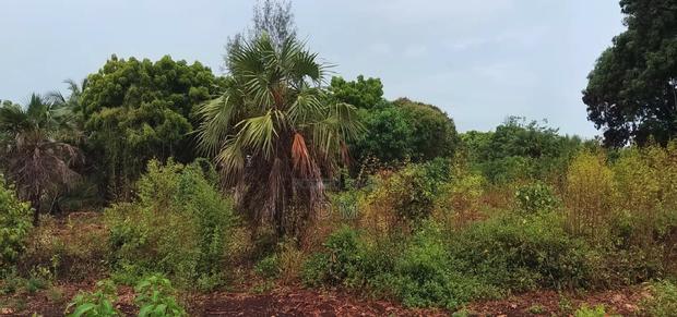 Hidden Gem in Kinondo: Half-Acre Plot Near Bora Bora Park - thumbnail 3