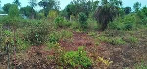 Hidden Gem in Kinondo: Half-Acre Plot Near Bora Bora Park - thumbnail 2