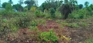 Hidden Gem in Kinondo: Half-Acre Plot Near Bora Bora Park