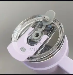 1.2 L Portable Thermal Traveling Vaccum Insulatedtumbler Cup