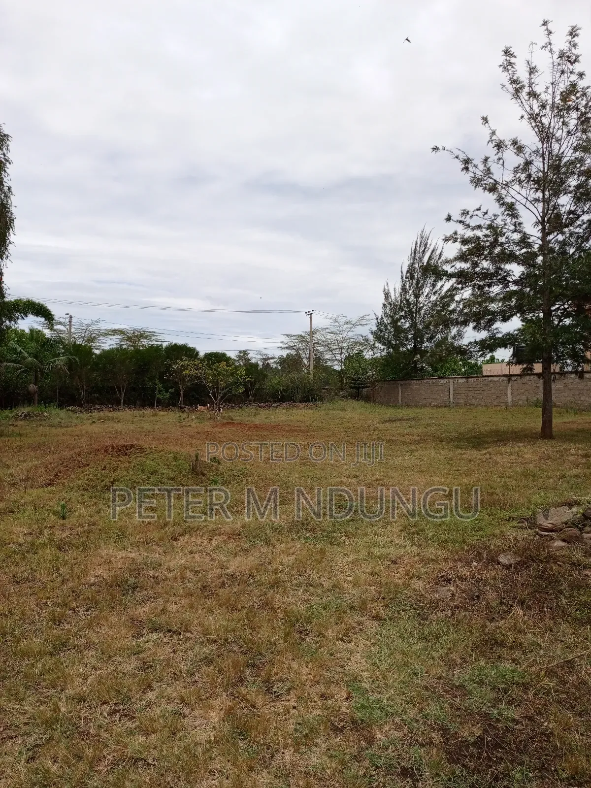 Prime Residential Plot 1/2 Acre Garden Estate
