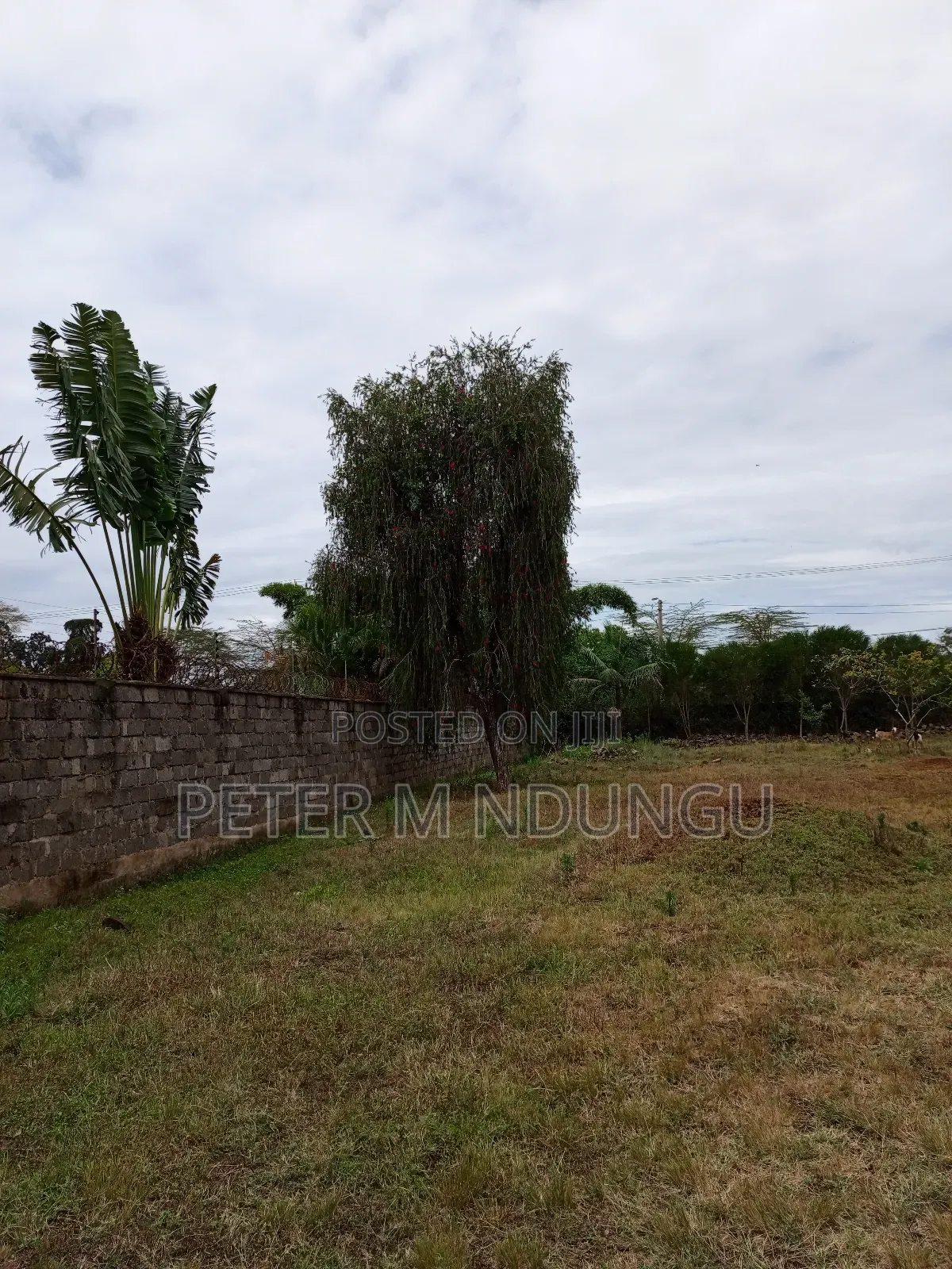 Prime Residential Plot 1/2 Acre Garden Estate
