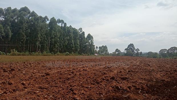 6 Acres for Sale in Kakamega County - thumbnail 2