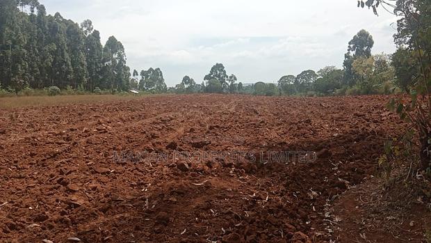 6 Acres for Sale in Kakamega County - thumbnail 4