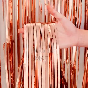 Fringe Curtain Birthday Photoshoot