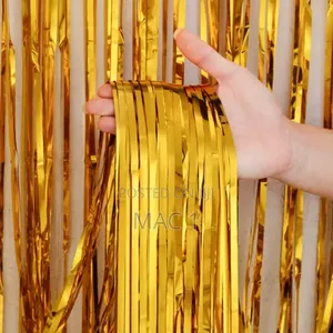 Fringe Curtain Birthday Photoshoot