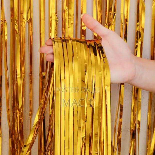 Fringe Curtain Birthday Photoshoot - thumbnail 4