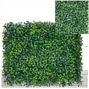 Wall Hedges