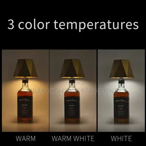 Decorative Creative Led Lights for Bottles