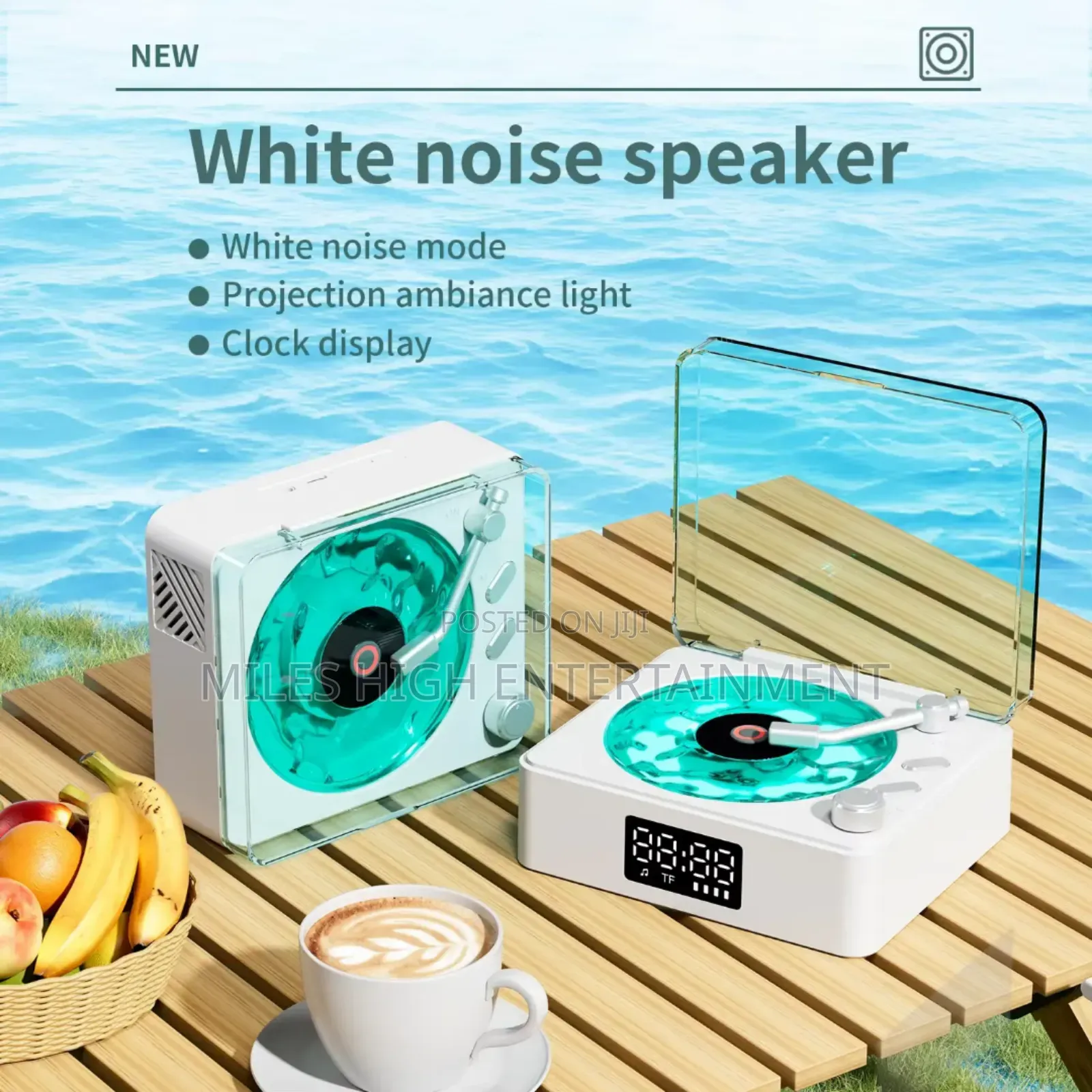 Vinyl Player Bluetooth Speaker