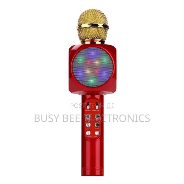 Portable Karaoke Speaker Kid Mic With Led Lights - main view