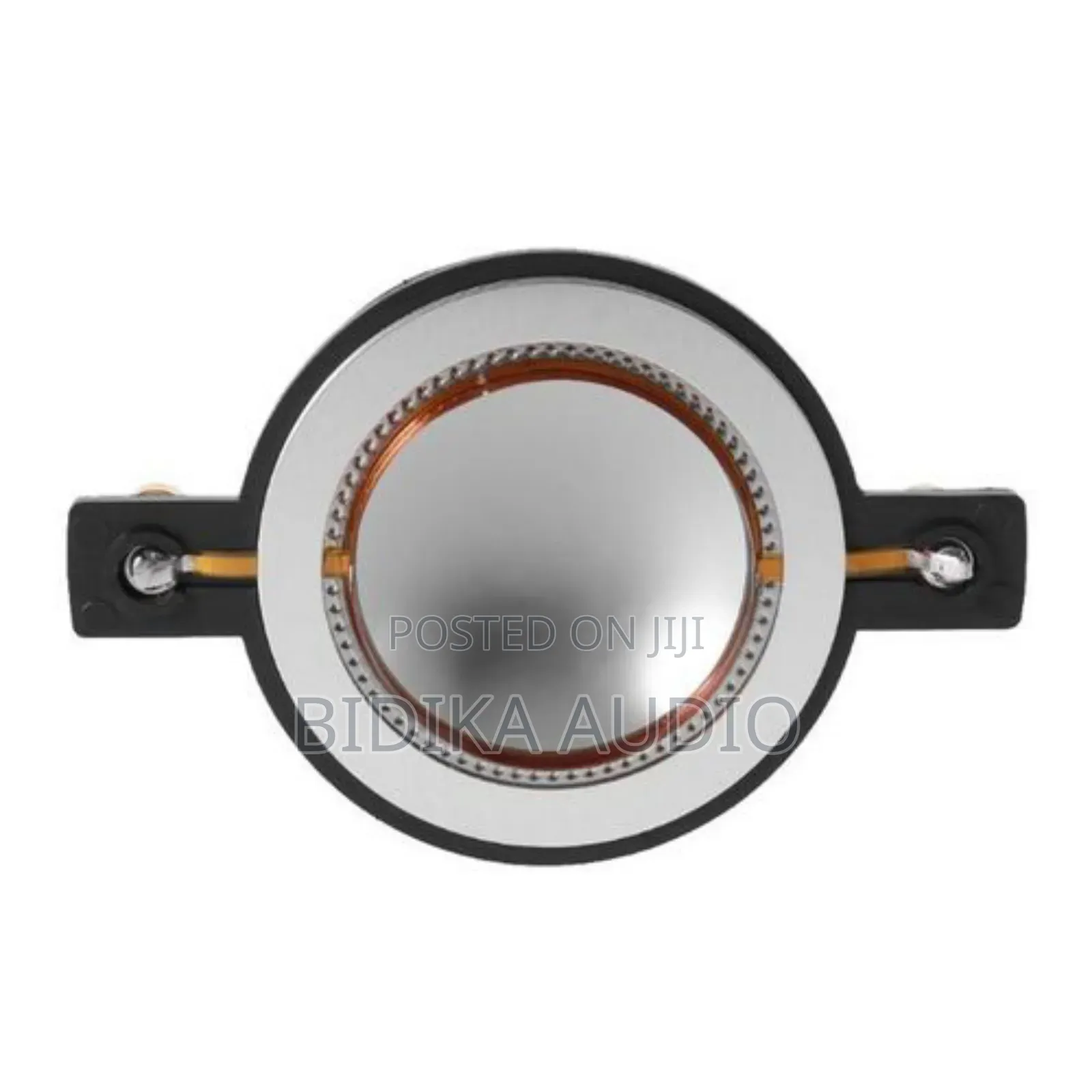 Original Speaker Coils