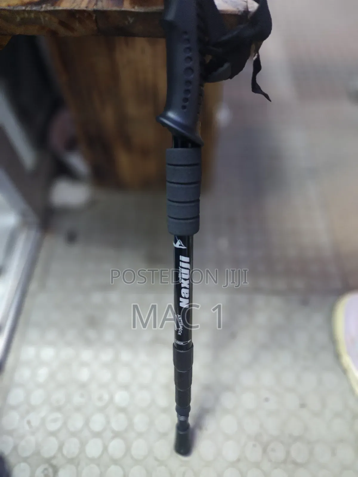 Metallic Hiking Stick