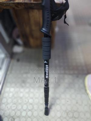 Metallic Hiking Stick - thumbnail 2