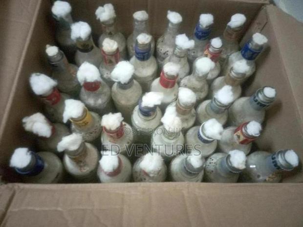 Mushroom Spawns (Seeds Or Grow Kits) - thumbnail 7