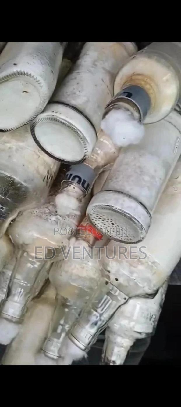 Mushroom Spawns (Seeds Or Grow Kits) - thumbnail 8