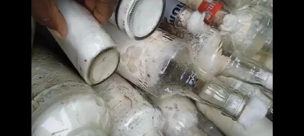 Mushroom Spawns (Seeds Or Grow Kits) - thumbnail 9