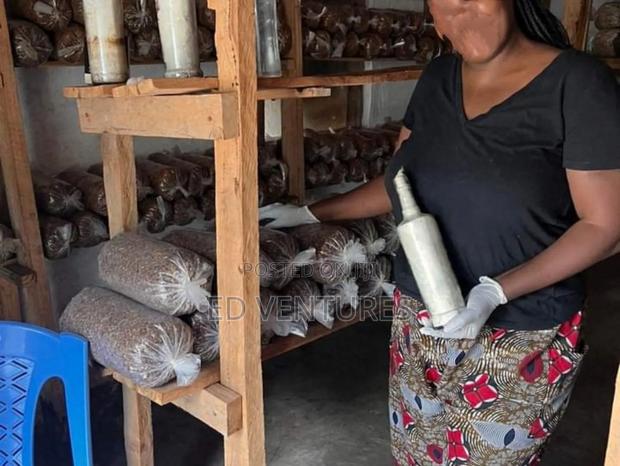 Mushroom Spawns (Seeds Or Grow Kits) - thumbnail 10