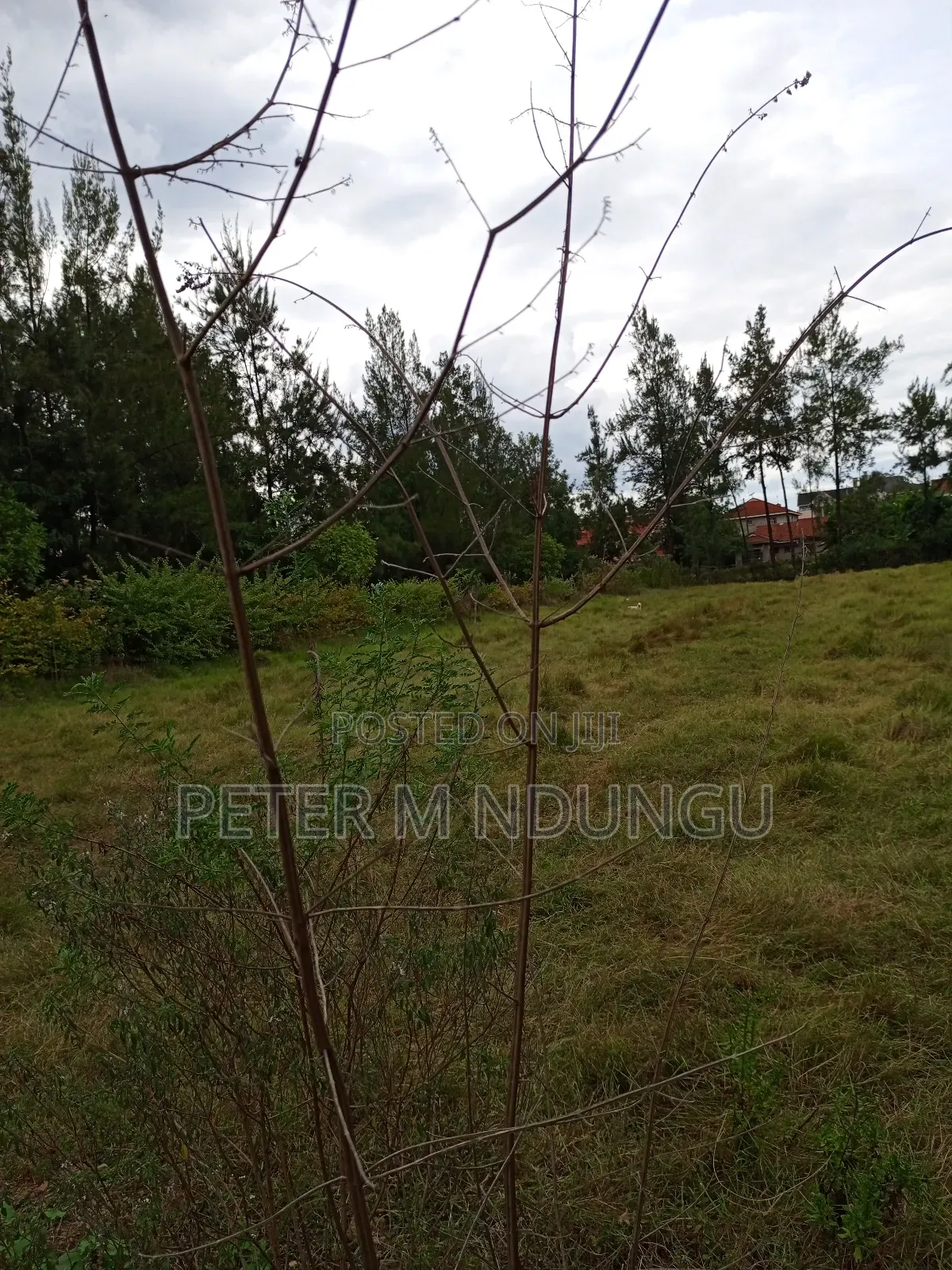 Thome 1 , 1/2 Acre Residential Plot