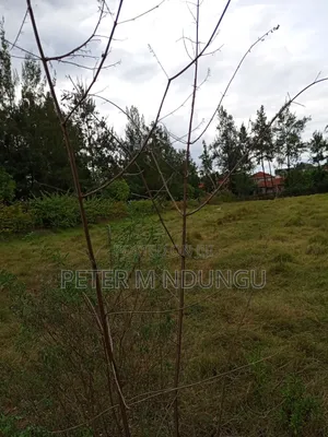 Thome 1 , 1/2 Acre Residential Plot